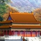 ��vip���Ž�������CADʩ��ͼ40��